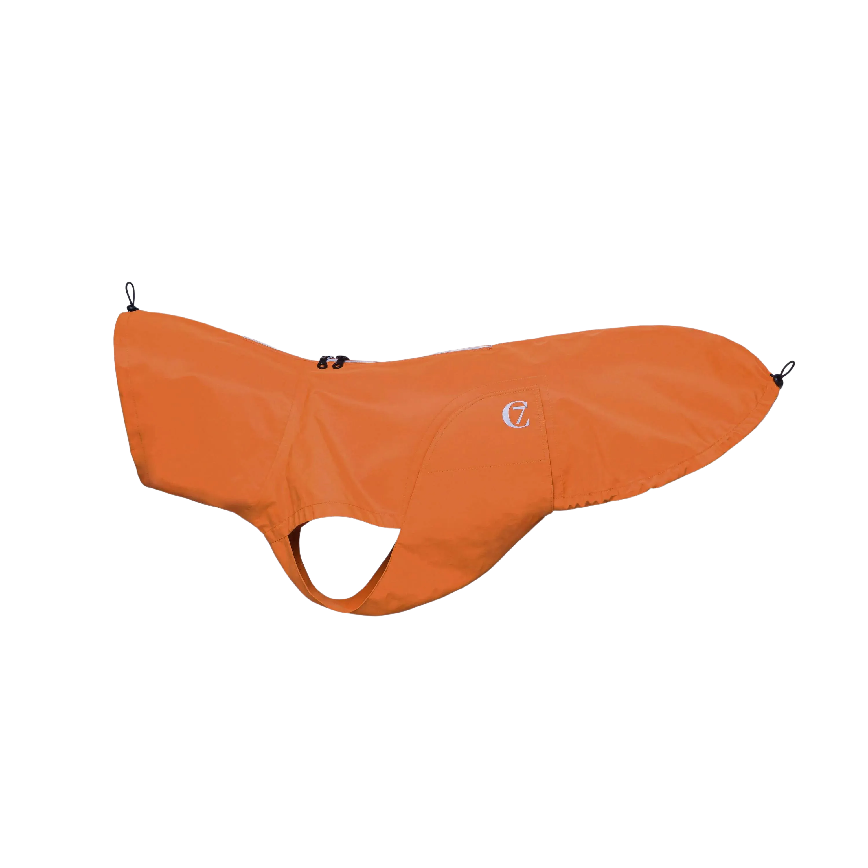 Dog Raincoat Dublin