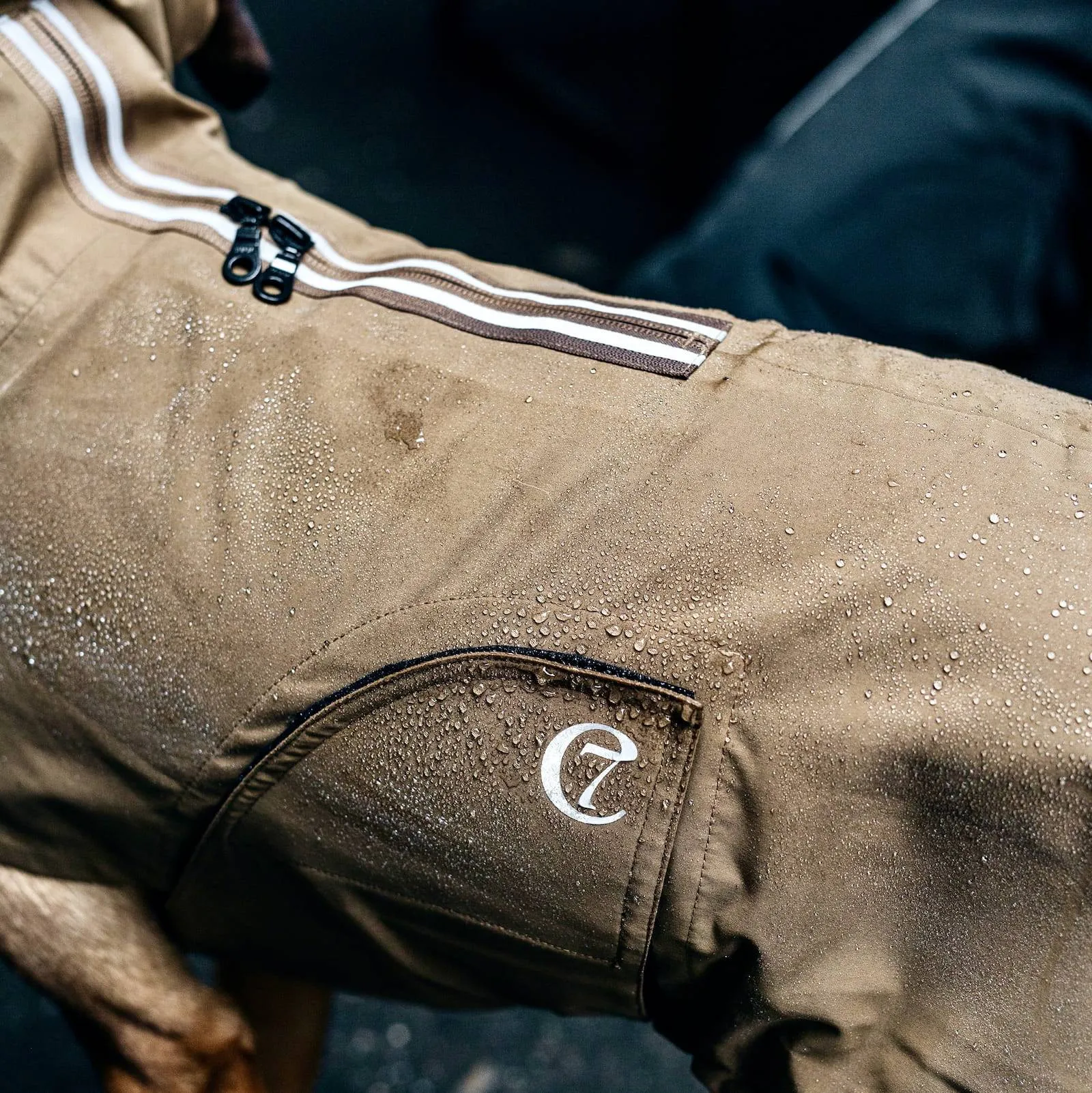 Dog Raincoat Dublin