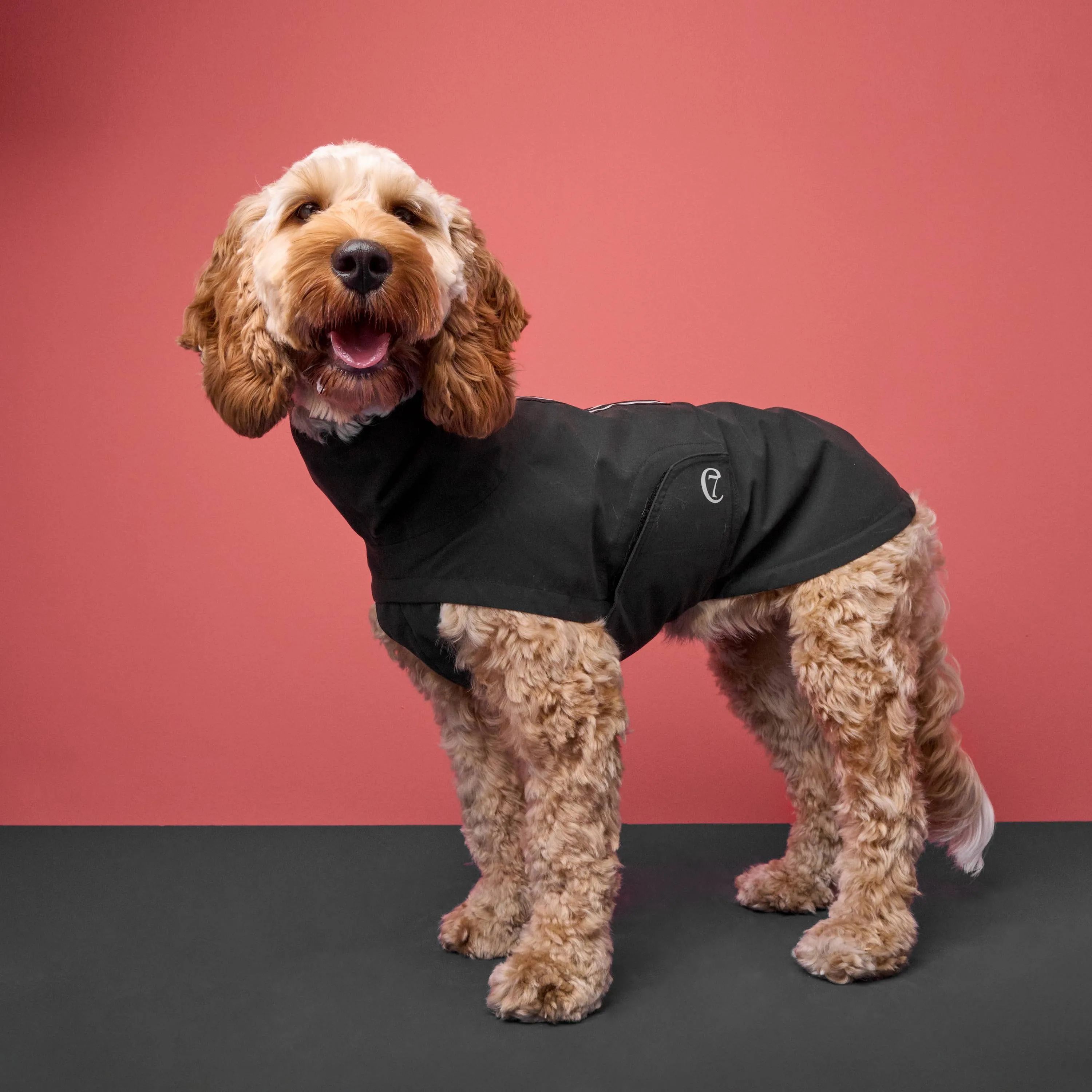 Dog Raincoat Dublin