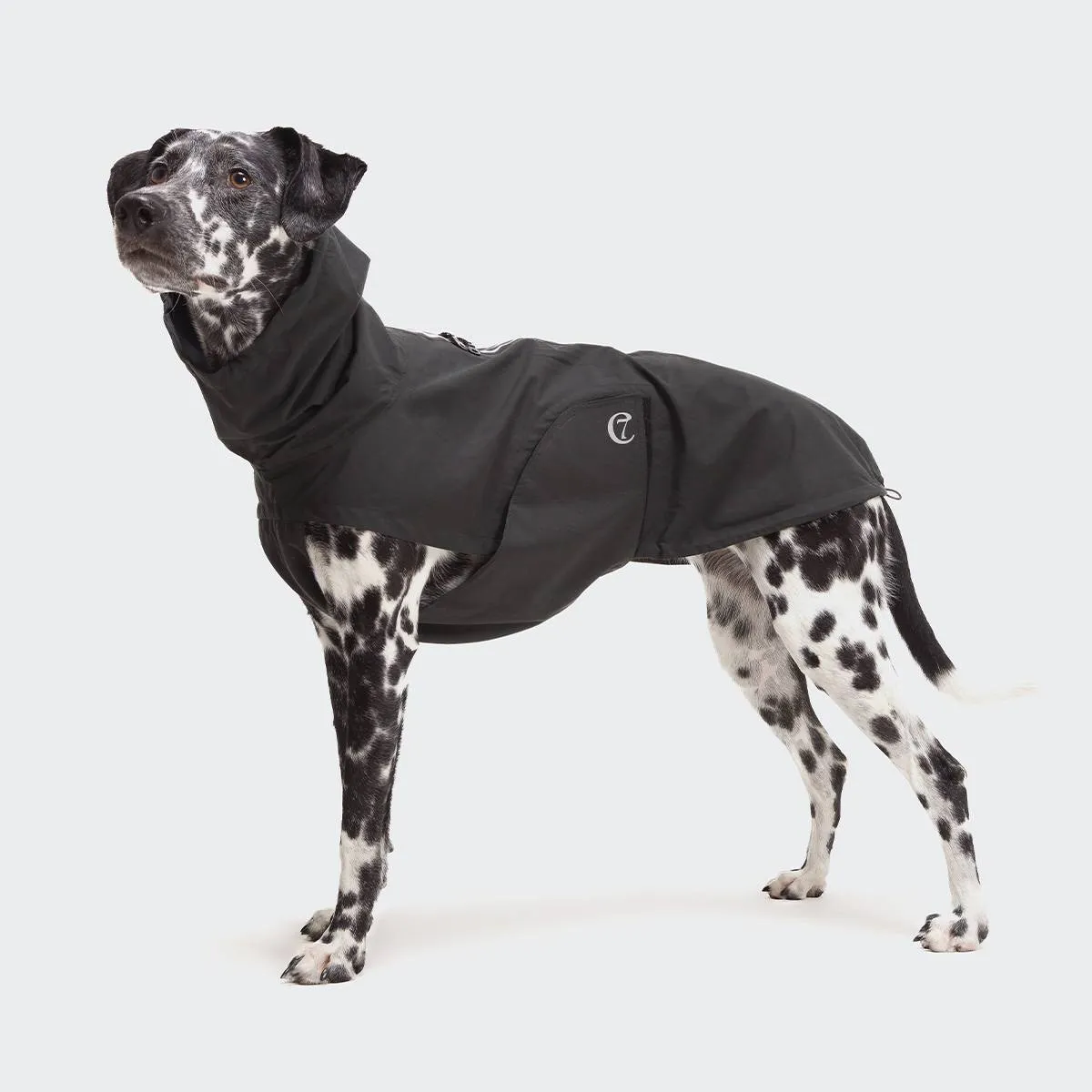 Dog Raincoat Dublin